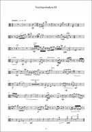 Notenbeispiel / Score example Nachtgedanken III