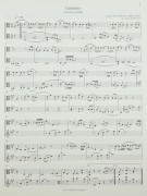 Notenbeispiel / Score example «Caminito»