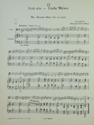 Notenbeispiel / Score example